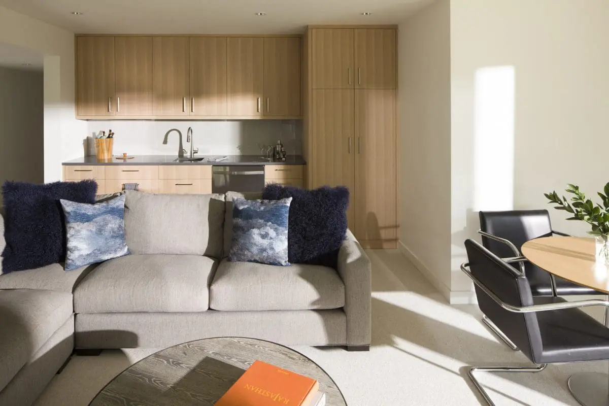 Cedar Lake Modern Remodel
