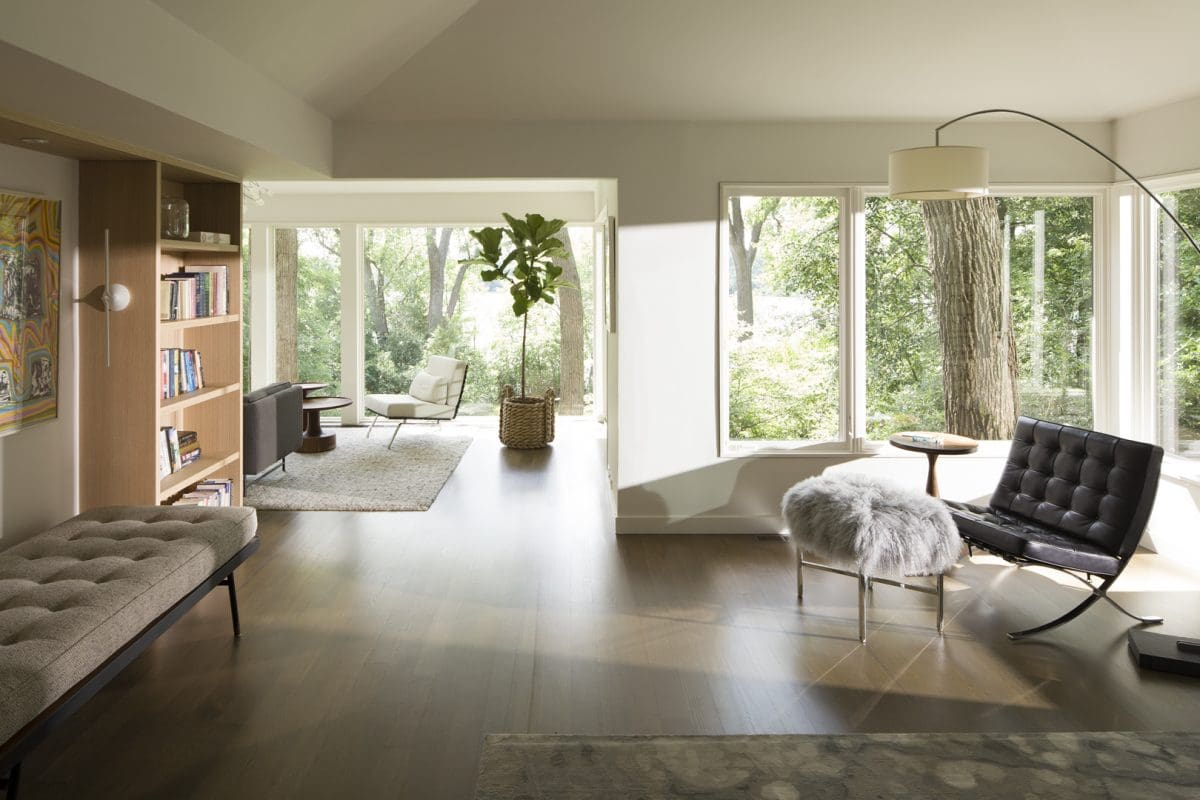 Cedar Lake Modern Remodel