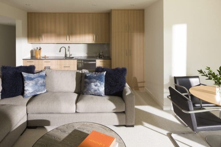 Cedar Lake Modern Remodel